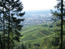 Bühl 